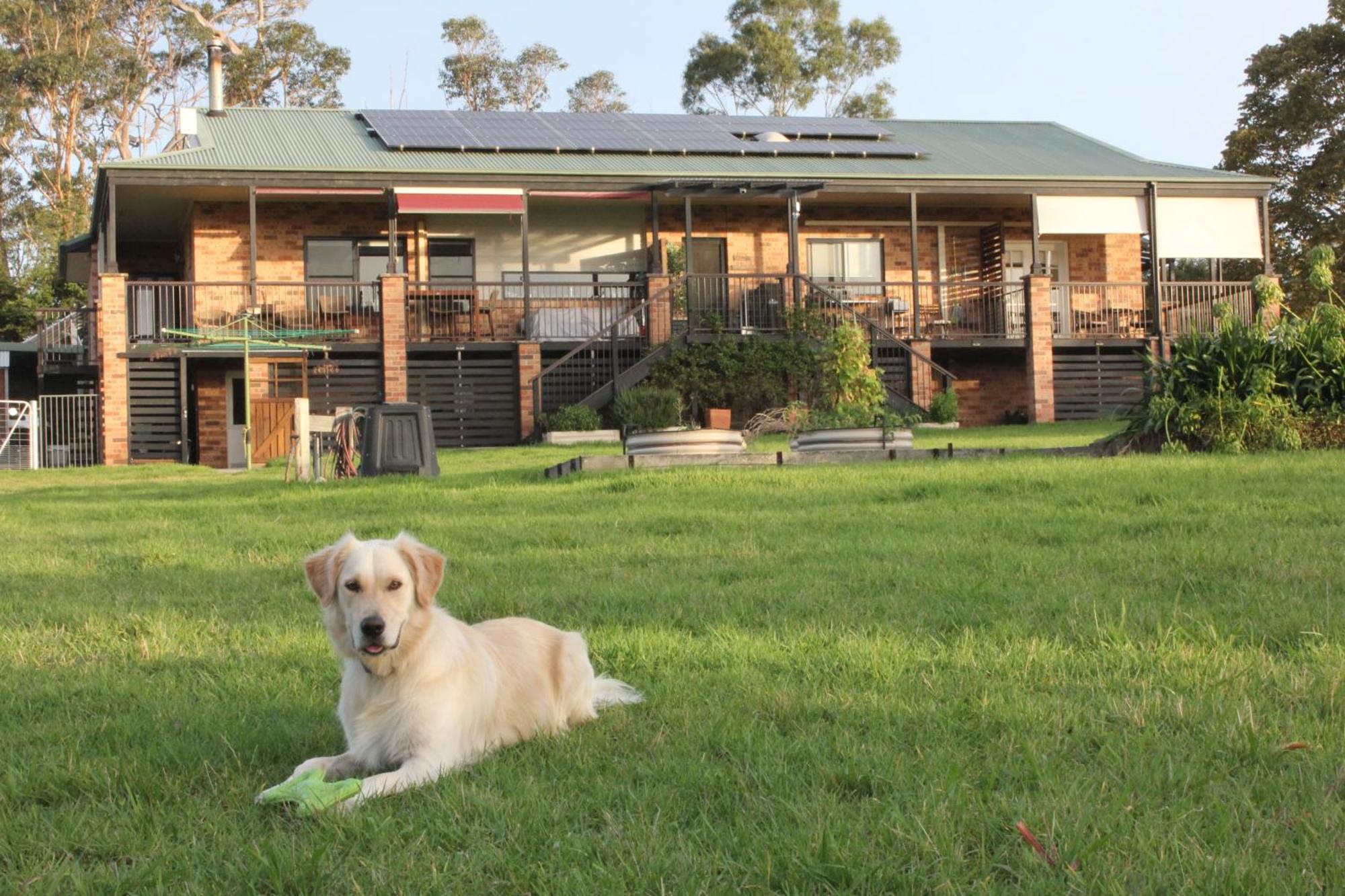מורויה Bryn Glas Farm Stay מראה חיצוני תמונה