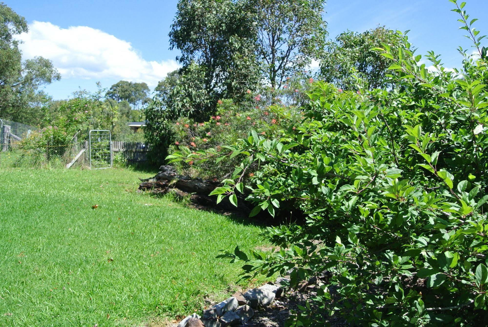 מורויה Bryn Glas Farm Stay מראה חיצוני תמונה
