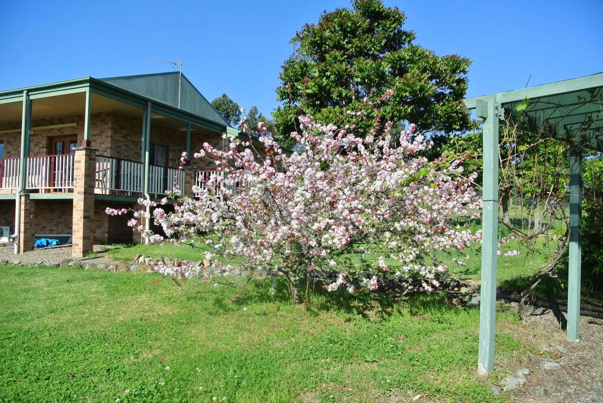 מורויה Bryn Glas Farm Stay מראה חיצוני תמונה